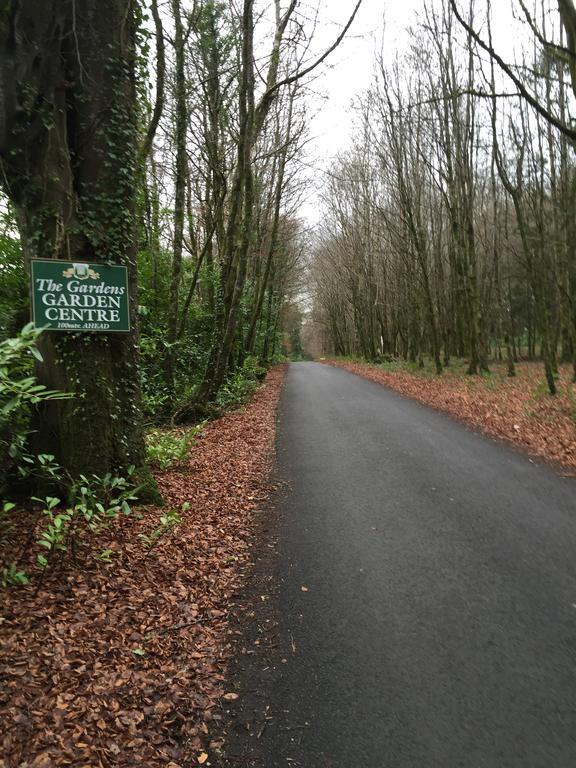 Leitrim Inn Carrick-on-Shannon Екстер'єр фото